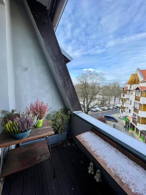 Apartament Przy Parku Z Bezplatnym Parkingiem Stary Toruń Exterior foto